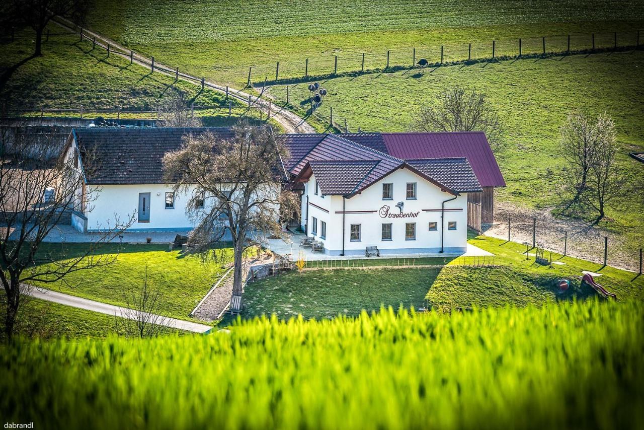 Straussenhof Halmer Oberndorf an der Melk Luaran gambar